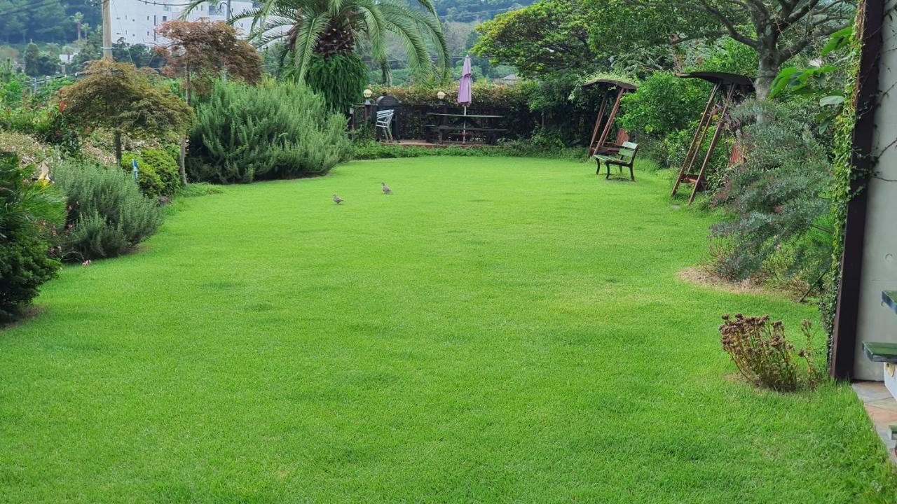 Beewool Chaewool Pension Seogwipo Esterno foto